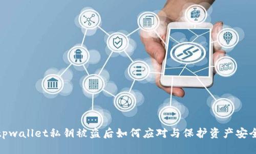 tpwallet私钥被盗后如何应对与保护资产安全